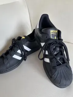 Item thumbnail for item 74d34853-1065-41f5-836e-ef7afb755d45