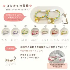 【子猫用】はじめての首輪 2本セット ネームプレート付きのサムネイル