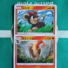 シンコ・カエンジシ トレーディングカードセット