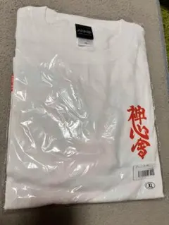 真天地開闢集団-ジグザグ 大晦日の大禊 参拝装束 ロングTシャツ 白 XXL
