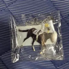 【2001-2020 新世紀の名馬 アクリルキーホルダー】ウオッカのサムネイル