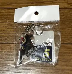 新品未開封　リバティアイランド　G1 アクリルキーホルダー2023オークス