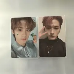 SocialPath Oddinary リノ