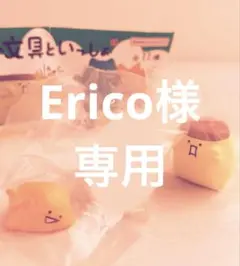 Erico様専用