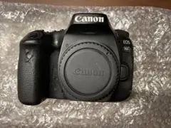 Item thumbnail for item b1eb7048-3d5b-49fc-a0f5-9b990d000889