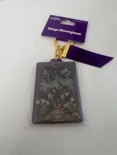 東京ディズニーランド ハロウィンキーホルダー