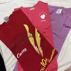 Curves Tシャツ 3枚セット 半袖のサムネイル