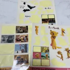 Item thumbnail for item c729a7e5-c597-4e75-b5d4-fe66083fdd53