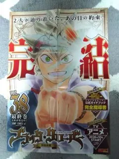 超希少!!】終末のワルキューレ 27巻 坂田金時 販促 非売品 ポスター