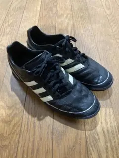 Item thumbnail for item d0e92239-1a0f-4b9a-b88d-3b1127cbb94a