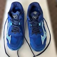 バレーボールシューズ（ミズノ）25cmのサムネイル
