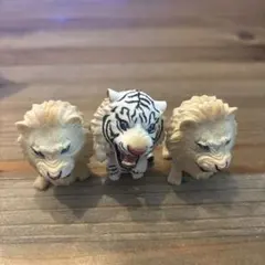 野生の証　ガチャ　アニマル　フィギュア　ホワイトタイガー　ライオン