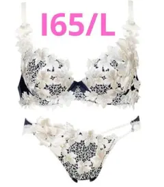 ワコール　サルート　ブラとショーツ　BTJ489（I65）PTJ789