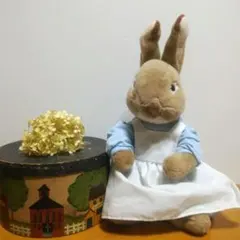 カントリ雑貨⭐️ミセスピーターラビット・紙BOX大 2点セット 14