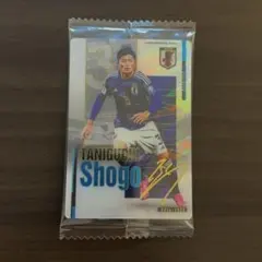 谷口彰悟 2025 日本代表カード