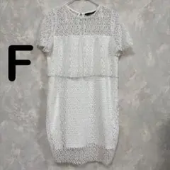 美品 ZARA BASIC ザラ ワンピース 総レース フレンチスリーブ 夏 L