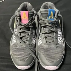 Nike Ja 1 