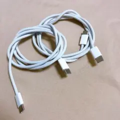 Apple純正編組ケーブル2点セット