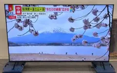 BM-LTV65 [65インチ] ゲオオリジナル2025年8月に購入まだ1年未満 