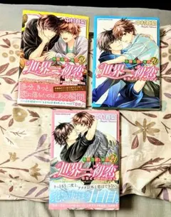 世界一初恋 純情ロマンチカ 中村春菊 イラスト集 3冊セット - メルカリ