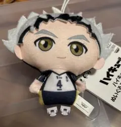 ハイキュー!! ぬいぐるみ 約10cm