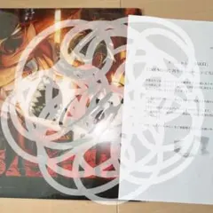 めいちゃん SAKKI 直筆 サイン ジャケ写 カード