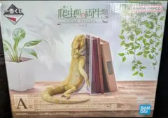 一番くじ 爬虫類＆両生類 A賞 フトアゴヒゲトカゲ ブックスタンド　おまけ付き