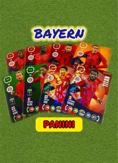 パニーニ ADRENALYN XL バイエルン アルフォンソ キムミンジェ