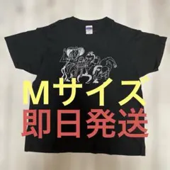 レッチリ Red Hot Chili Peppers ギターピック 2012 - メルカリ