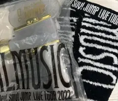 Hey! Say! JUMP LIVE TOUR 2022 ペンライト　タオルのサムネイル