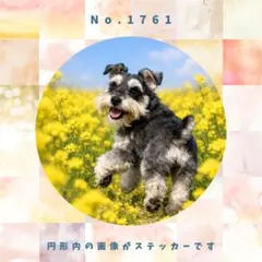 Item thumbnail for item 3e880ba9-2e0f-43c3-b081-8d5bf8caf06e