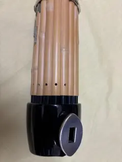 Item thumbnail for item 74f38087-5f2f-4115-9d72-6704741c8808