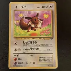 旧裏 イーブイ Lv.12 ● ポケモンジャングル 拡張パック第2弾