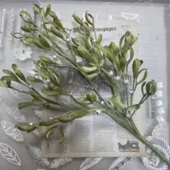 北海道ヤドリギ　スワッグ 宿木　合格祈願　縁起物　no2希少　メス実付き 北海道ヤドリギ 宿木 No.12 希少 ヤドリギスワッグ メス実付き