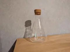 Sayaさま専用 SEKIYA 500ml 三角フラスコ