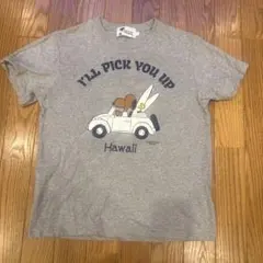 SURF'S UP PEANUTS Tシャツ グレー S