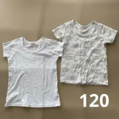 アンダーシャツ　120 中古　すみっコぐらし1点　無地1点