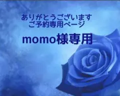 momo様専用/藤の夜のうさぎ　蓄光　オルゴナイトネックレス