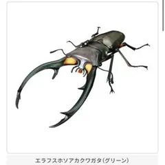新品未開封　クワガタ02 エラフスホソアカクワガタ　グリーン