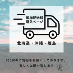 チャピコ様　送料専用ページ ⭐