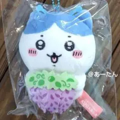 【新品】あしかがフラワーパーク 足利 藤の花 ちいかわ ハチワレ ご当地ちいかわ