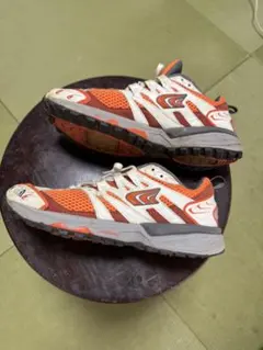 The North Face メッシュスニーカー オレンジのサムネイル