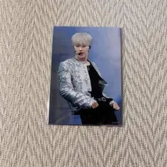 SEVENTEEN ライブフォトセット ジュン ホシ ディエイト ディノ