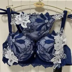 ワコール　サルート　ブラジャー　ショーツ　D75 Ｌ