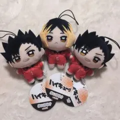 ハイキュー!! ぬいぷりけmini3 黒尾鉄朗 孤爪研磨 3点セット