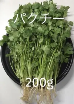 パクチー 香菜 コリアンダー 200gのサムネイル