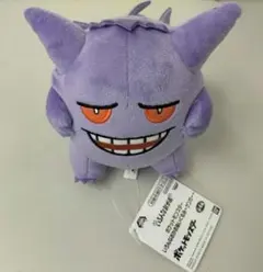 ポケットモンスター いろんなおかお ぬいぐるみ ゲンガー ポケモン