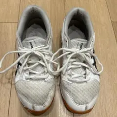 Item thumbnail for item 46fd15af-91fc-44bd-8038-ab8b616d48cc