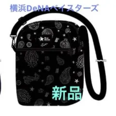 新品未開封　イナバサラス　トートバッグ　B'z　2025 新品未開封 イナバサラス トートバッグ B'z 2025 - メルカリ