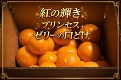 専用　糖度13.5越え！　秀品中島プリンセス　愛果48号紅プリンセス同品種3kgのサムネイル